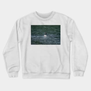 bbs Swan River Crewneck Sweatshirt